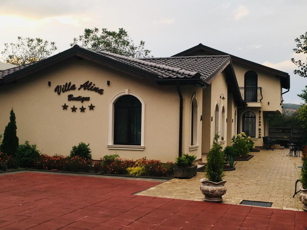 Villa Boutique Alina Deva Ngoại thất bức ảnh